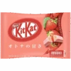 Japanese Kit Kat Strawberry Flavour Mini Kit Kats (Japan) - 10 Pack 1 Japanese Kit Kat Strawberry Flavour Mini Kit Kats (Japan) - 10 Pack -Arizona Snack Shop 52123 a PhotoRoom 2023 12 14T144520.268