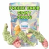 Freeze Dried Giant Crocs