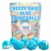Freeze Dried Blue Paintballs 1 Freeze Dried Blue Paintballs -Arizona Snack Shop CopyofPoppinCandyLogo CircleSticker 1080x1080px 91 scaled