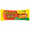 Reese's Peanut Butter Cup Spring Sprinkles Big Cup Kingsize - 2.6oz (73g) -Arizona Snack Shop IMG 5900 copy copy Photoroom 14