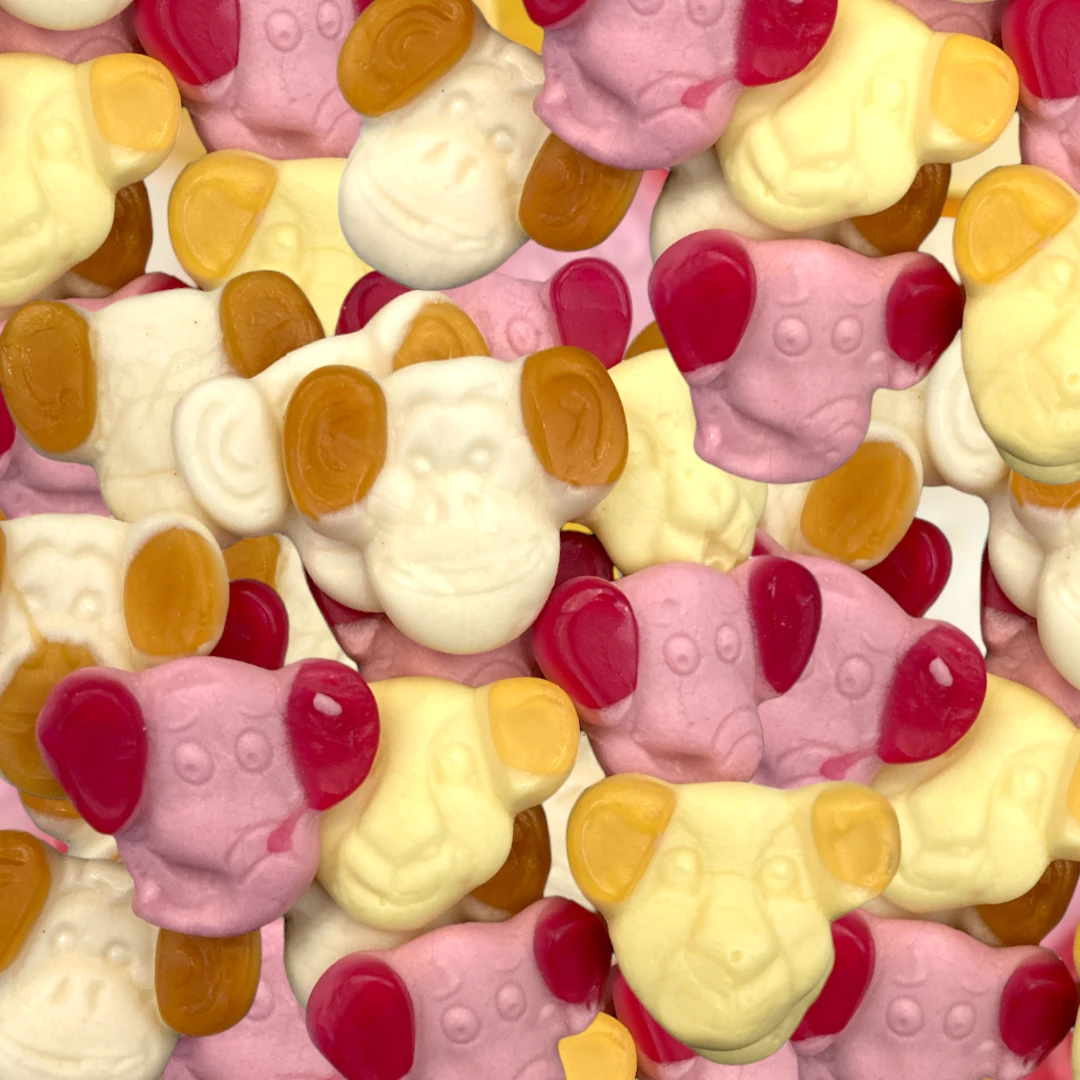 Zoo Animals (Dutch) 3 Zoo Animals (Dutch)