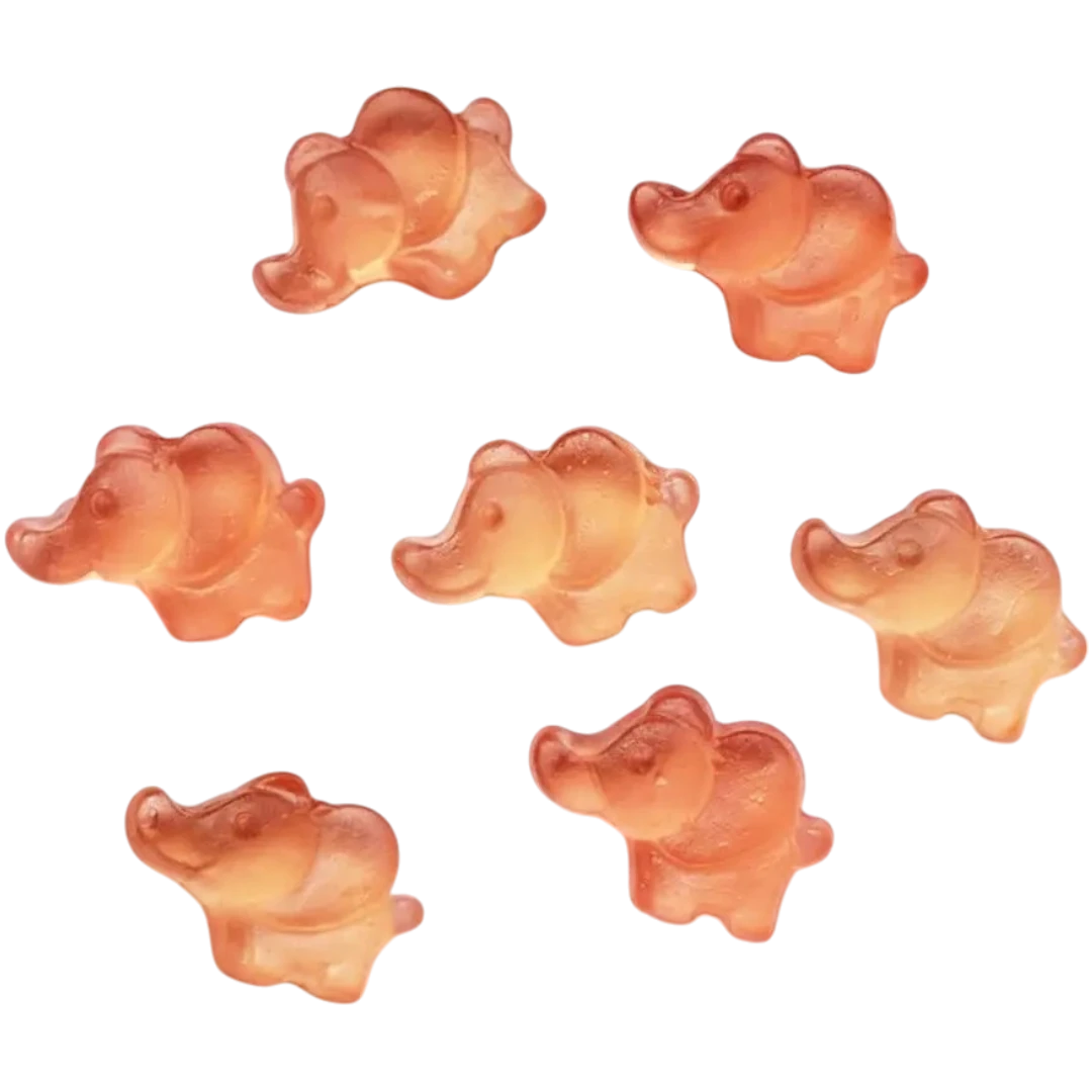 Pink Cherry Elephants (Belgian) 4 Pink Cherry Elephants (Belgian) - Image 2