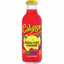 Calypso Paradise Punch Lemonade - 16fl.oz (473ml)