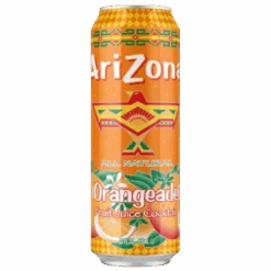 Arizona Orangeade - 22fl.oz (650ml)