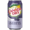 Canada Dry Blackberry Ginger Ale (Canada) - 12fl.oz (355ml) -Arizona Snack Shop white PhotoRoom 79 PhotoRoom 2023 06 14T144331 PhotoRoom 2023 06 24T104326.220 scaled